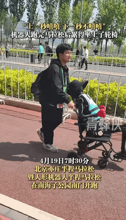人赛跑比汽车飞机火车都要强新葡京娱乐城人